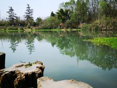 -桤木河湿地公园