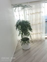 -HEYAN荷妍专业脱毛连锁机构