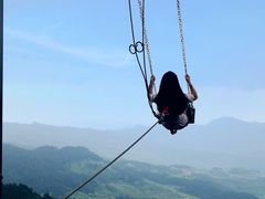 -梦幻奥陶纪景区