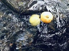 -大围山峡谷漂流