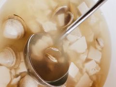 蛤蜊豆腐汤-丰收渔港饭店(嵊泗店)