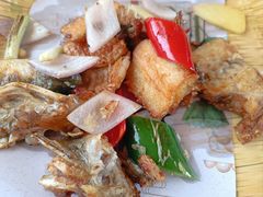-陶缘一号·四季缘·老字号顺德菜·户外婚礼家宴(西滘店)