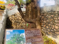 -红螺寺
