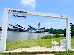 -盐城丹顶鹤湿地生态旅游区