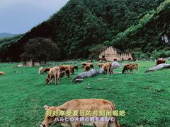 -狮子沟牧场