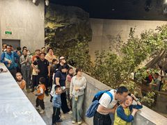 -北京周口店北京人遗址博物馆