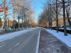 -朝阳公园游乐园