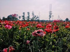 -七曲山风景区