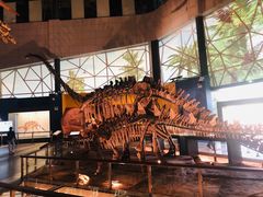 -湖南省地质博物馆