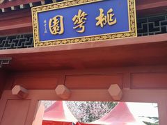 -桃花堤公园