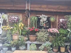 -龙姐私房菜(和顺古镇店)