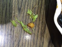 晚归月亮湾-晚归月亮湾私家菜(临邑路店)