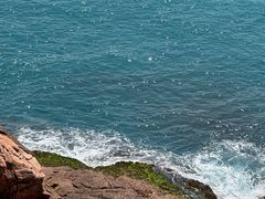 -广东惠东海龟国家级自然保护区