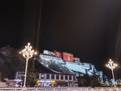-布达拉宫
