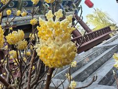 -葛仙湖公园