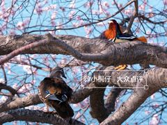 -颐和园