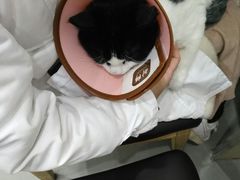 -贝利宠物医院·骨科·眼科·肿瘤转诊中心(南坪诊疗中心)