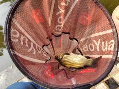 -酷鱼垂钓CLUB(朝阳区博大路店 )