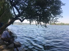 -苏堤停车场