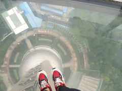 -东方明珠国际旅行社有限公司