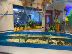 水产区-帝企鹅自助餐厅•儿童岛•真企鹅(长隆企鹅酒店)