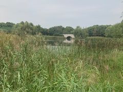 -贡湖湾湿地公园