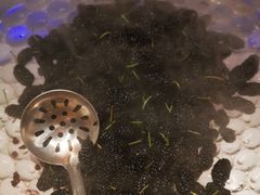 -釜御山海鲜烤肉火锅自助(新城市中心店)