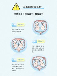 点击看大图 -杭州贝瑞斯美华妇儿医院·早孕·产检·儿科