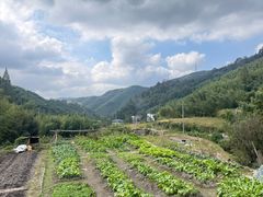 -莫干山风景区