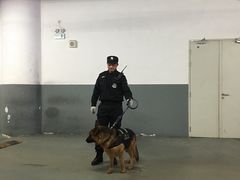 -梅赛德斯奔驰文化中心·停车场