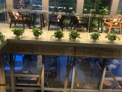 -了不起的考拉咖啡店(高新店)