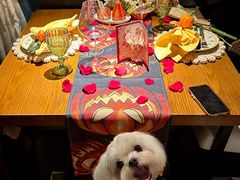 -弗兰克牛排西餐厅Ribone steak house(柠檬花园店)