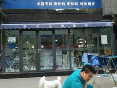 -西安京西宠物医院·瘫痪·疑难杂症