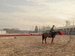 -北京群众马术培训基地