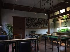 -百好乐宠物友好餐厅(朝外大街店)