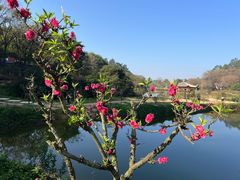 -南国桃园旅游度假区