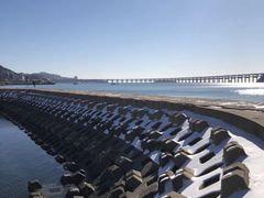 -星海湾跨海大桥