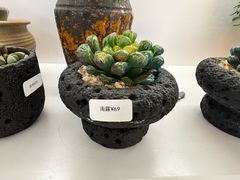 -巴黎春天(浦建店)