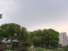 -新江湾城公园