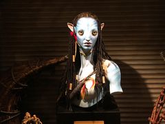 -奥兰多迪士尼动物王国乐园