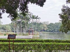 -荔湾湖公园