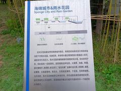 -坝河休闲公园
