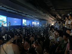 -重庆欢乐海底世界