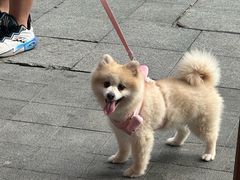 -金陵家宴·金陵春·南京菜(夫子庙店)