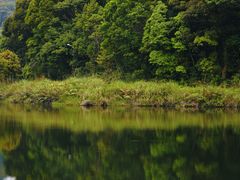 -海南热带雨林国家公园吊罗山景区