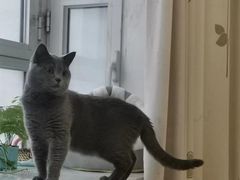 -客栈猫舍(中央北路店)