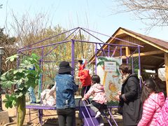 -尚庄度假村·庭台树下·户外烧烤·团建CS·轰趴营地(上庄水库店)
