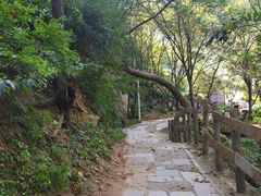 -大岭沟猕猴桃谷风景区