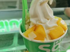 -Salud撒露欧洲冻酸奶(五道口购物中心店)