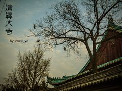 -西安化觉巷清真大寺